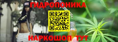 прущие крисы Краснодар