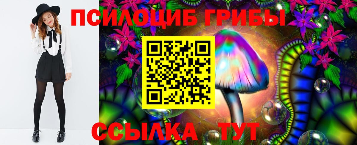 Ивантеевка  Галлюциногенные грибы Psilocybe  Вход с VPN  Псилоцибиновые грибы мухоморы 